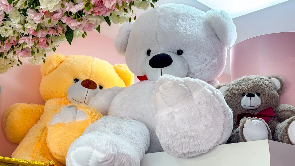 🐻 Великі м’які ведмеді